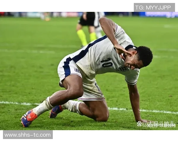 哈利洛维奇在欧洲杯上的精彩表现引发球迷热议与期待